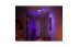Lampă de plafon Centris cu 2 spoturi Hue RGB Negru